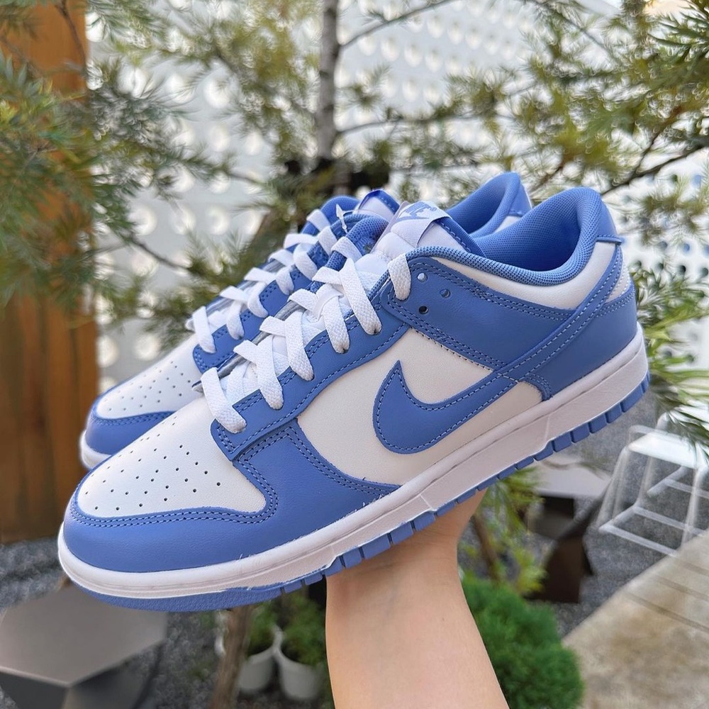 Nike Sky Blue and White Low-Top Sneakers